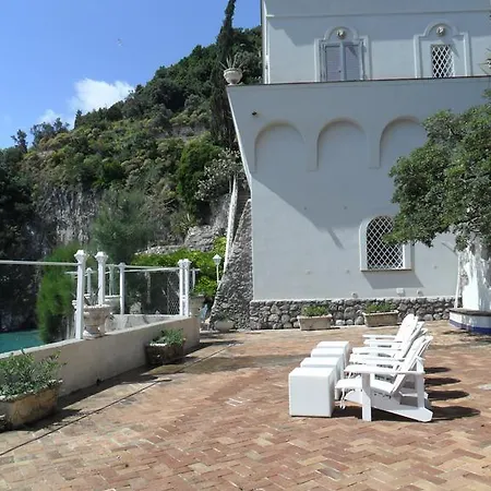 Il Gabbiano