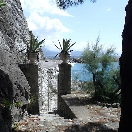 Il Gabbiano *