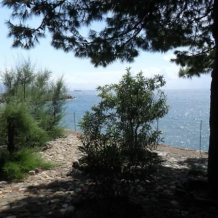 Il Gabbiano